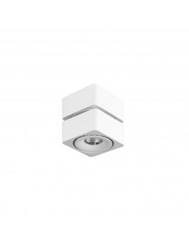 Plafonnier IP20 Fox Surface LED 7.9W...