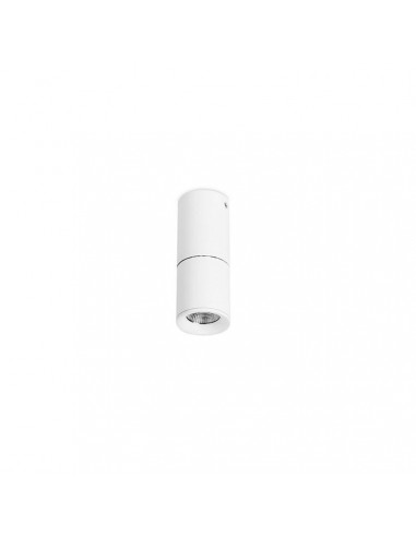 Plafones de techo techo exterior TUB TC-0132-BLA 1x LED 12.6W 1141 lm blanco mate, Plafones exterior