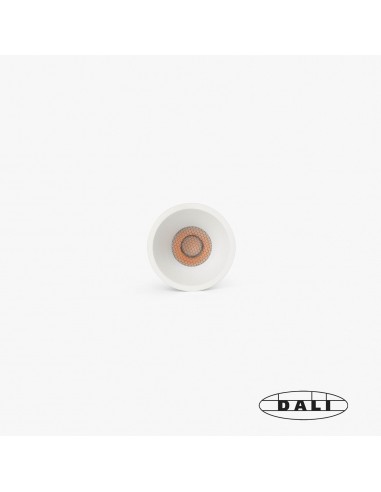 Downlight Tulipa Sim 0334194011D Faro...