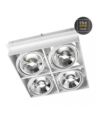 Downlight De plafond MULTIDIR...