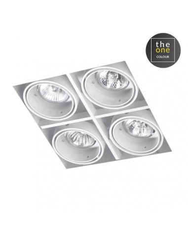 Downlight De plafond MULTIDIR...