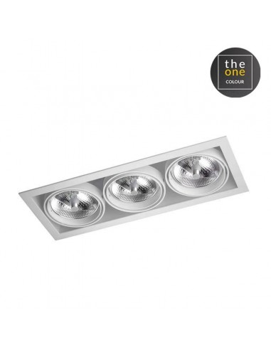 Downlight De plafond MULTIDIR...