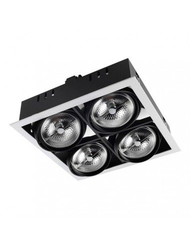 Downlight De plafond MULTIDIR...