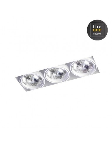 Downlight De plafond MULTIDIR...