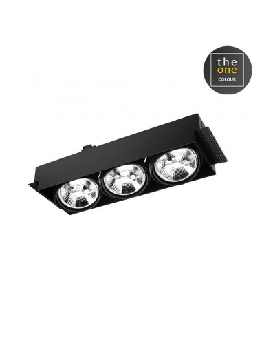 Downlight De plafond MULTIDIR...