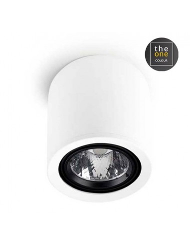 Plafonniers EXIT 1 x led 29.6w blanc...