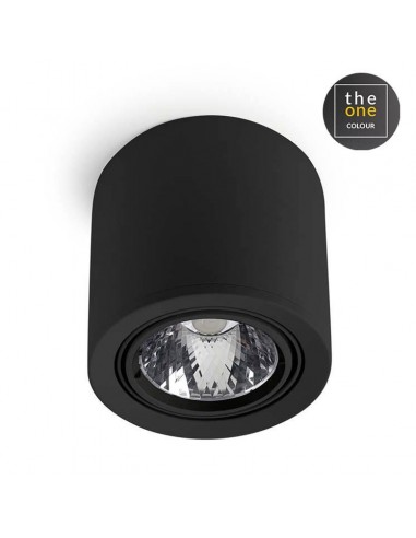 Plafonniers EXIT 1 x led 33.7w noir...