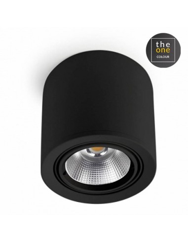 Plafonniers EXIT 1 x led 33.7w noir...