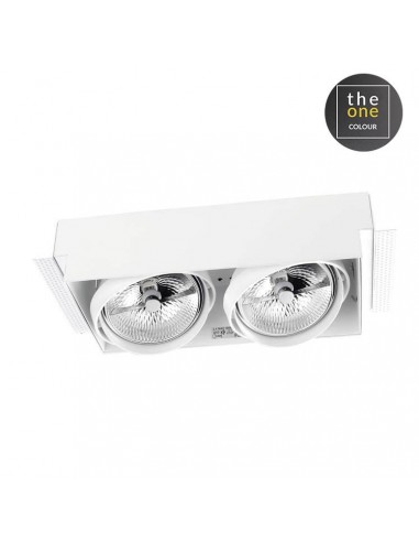 Downlight De plafond MULTIDIR...