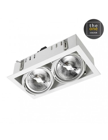 Downlight De plafond MULTIDIR...